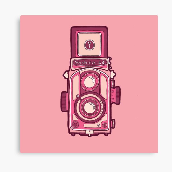 Vintage camera pink Canvas Print