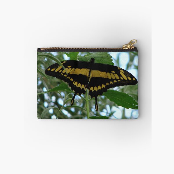 Item preview, Giant Swallowtail - Papilio cresphontes designed and sold by Sharon Perrett.