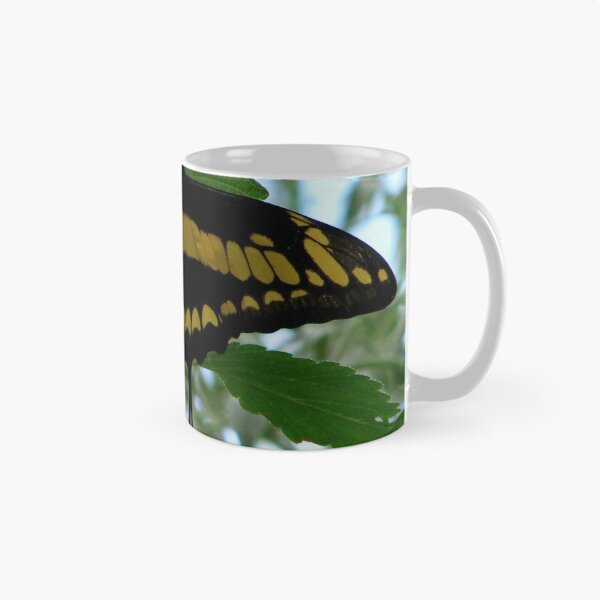 Item preview, Giant Swallowtail - Papilio cresphontes designed and sold by Sharon Perrett.