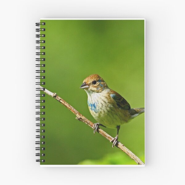 Item preview, Indigo Bunting designed and sold by Enola Gay Wagner.