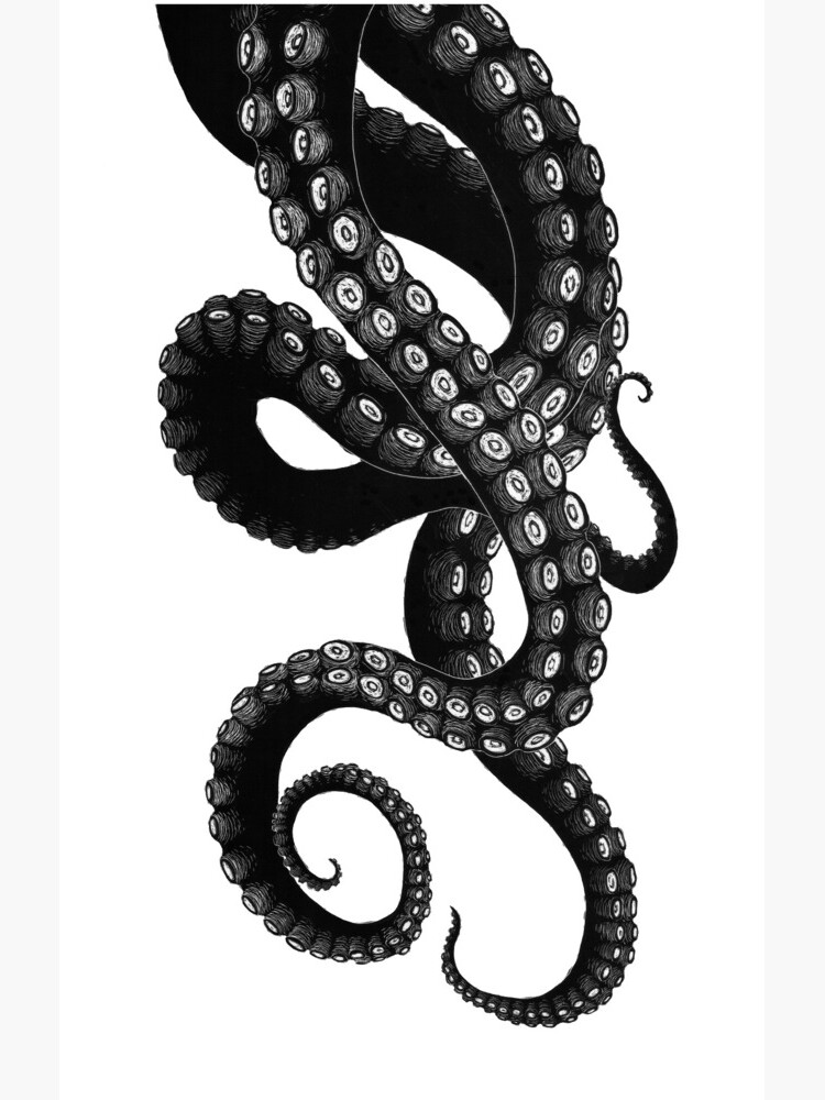 Get Kraken by Alrkeaton