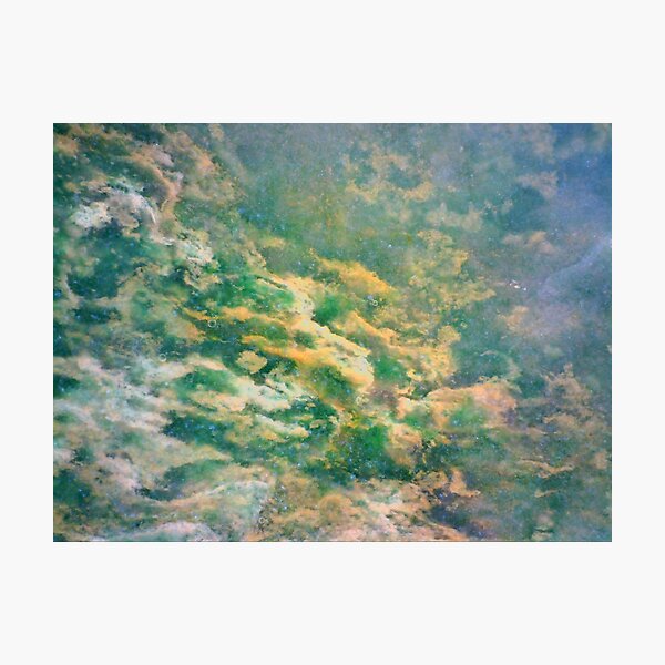 Fishless Reef (Serpentine Verdite) Photographic Print
