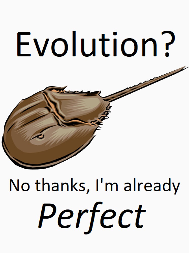 "Horseshoe Crab" Tshirt for Sale by pcmhdhp Redbubble horseshoe