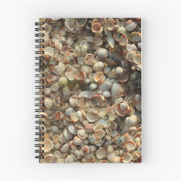 Item preview, multitude seashells designed and sold by olena2552.