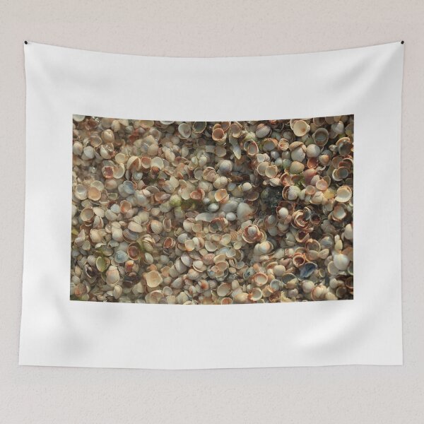 Item preview, multitude seashells designed and sold by olena2552.