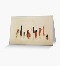 Tarjeta de felicitación Feather Study no. 1