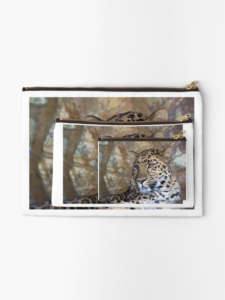 Alternate view of leopard Zipper Pouch