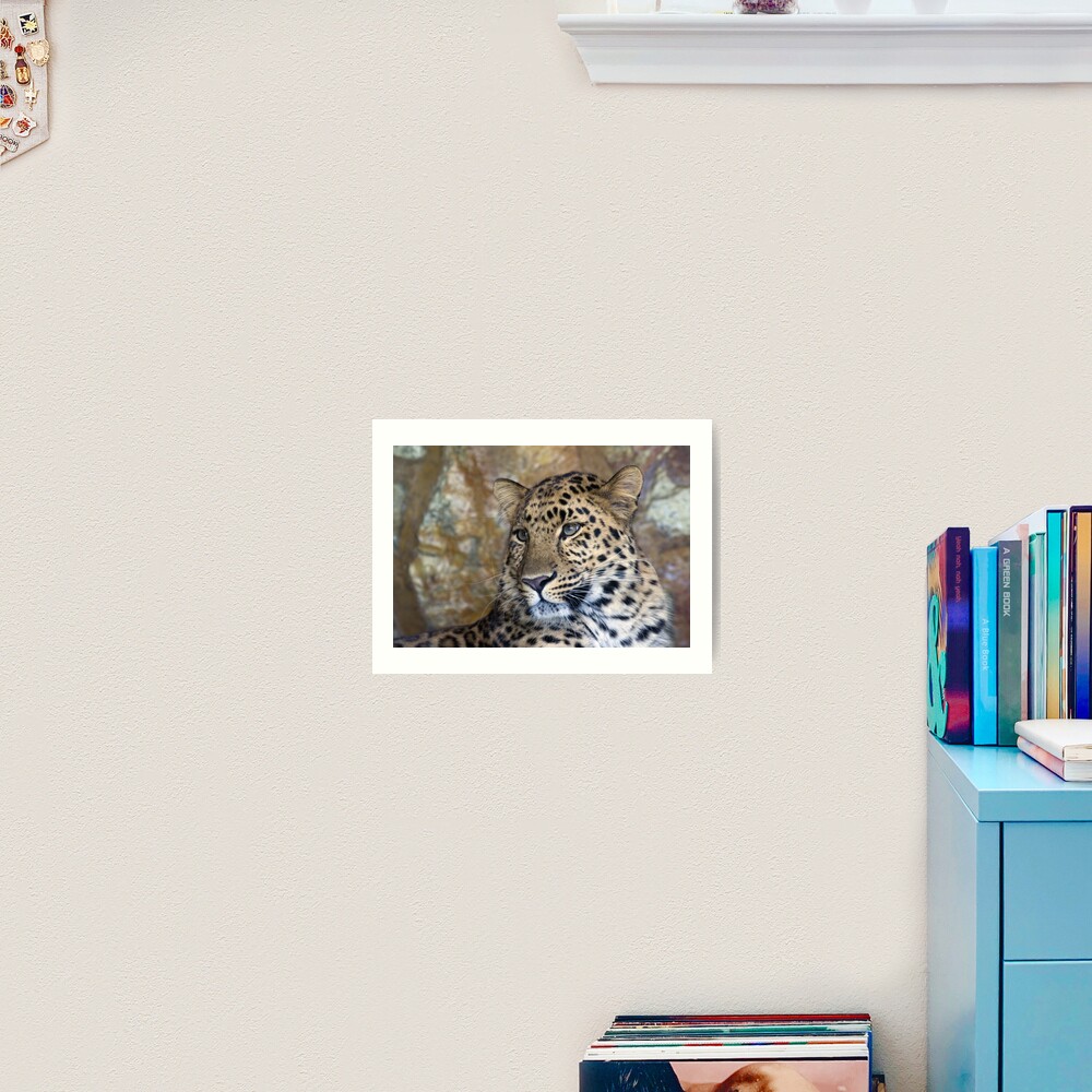 leopard Art Print