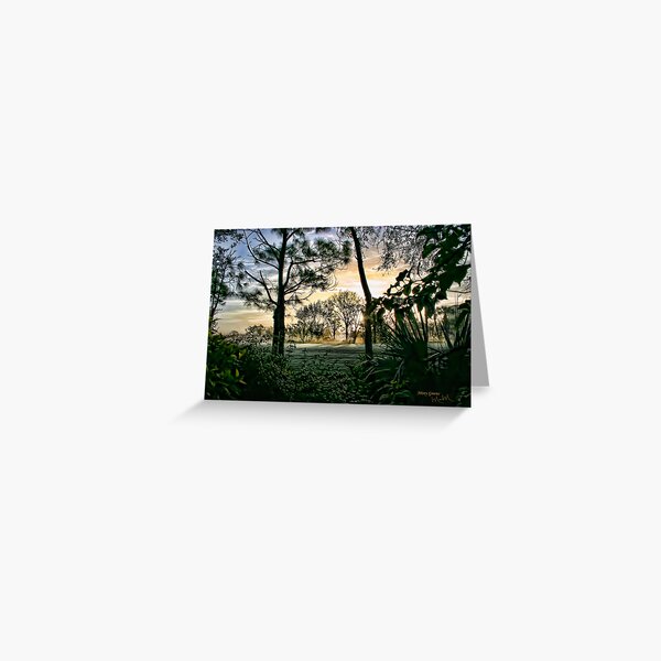 Misty Greens Greeting Card