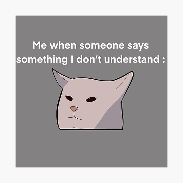 "Woman shouting at cat meme" Photographic Print for Sale by