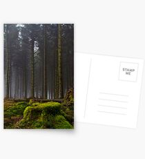 Standing Tall Postcards