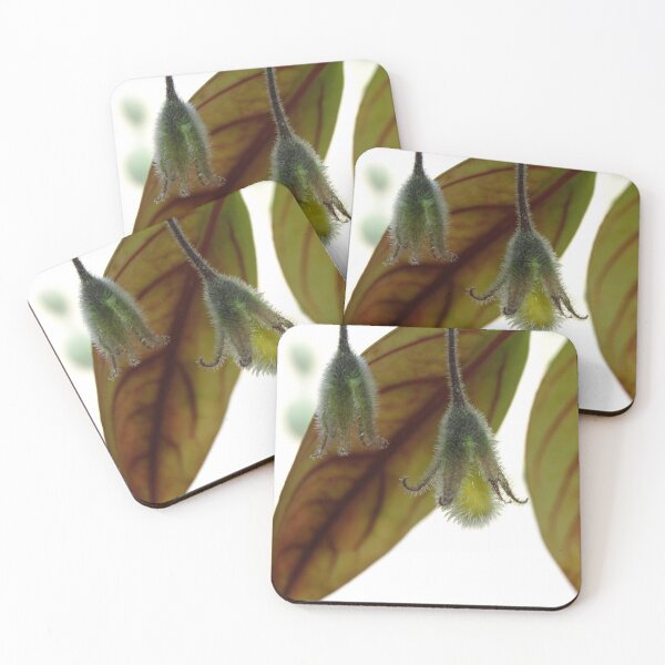 Item preview, Feuilles suspendues designed and sold by E-Maniak.