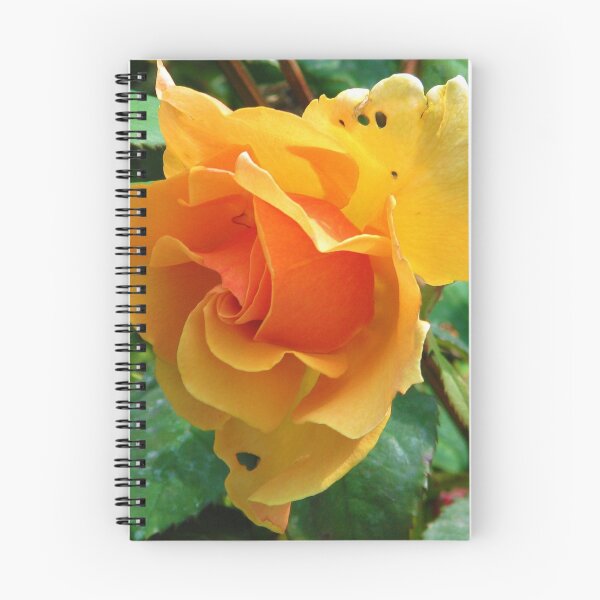 Item preview, Ragged rose designed and sold by MChabalaRussell.