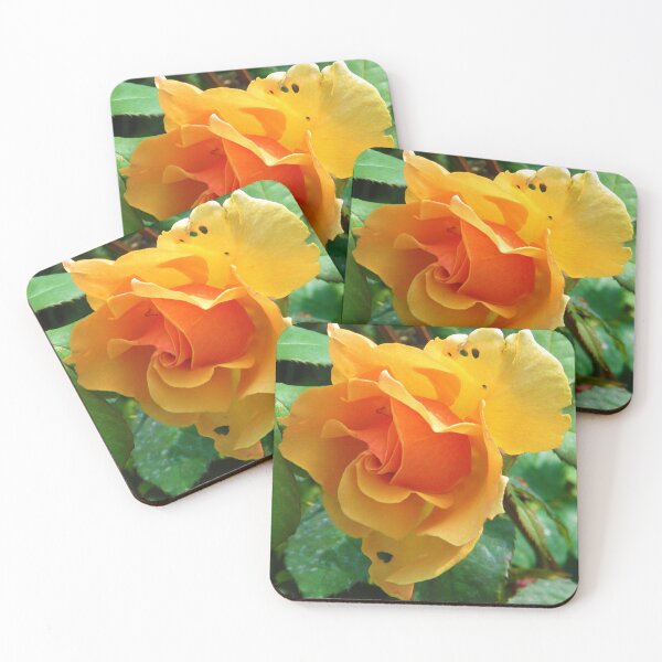 Item preview, Ragged rose designed and sold by MChabalaRussell.