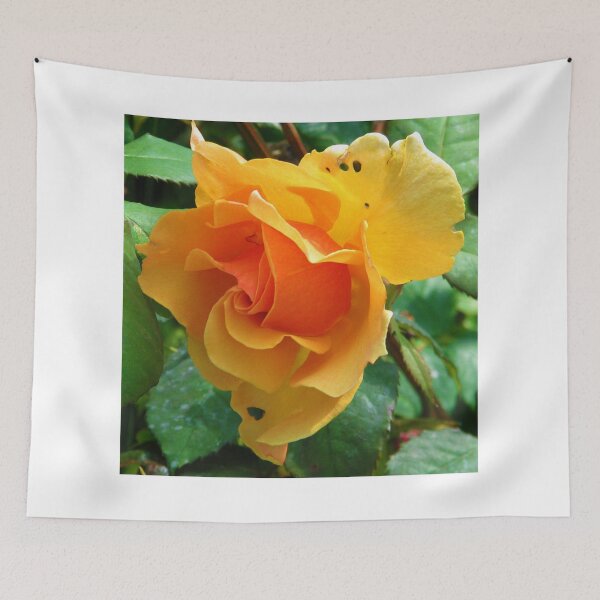 Item preview, Ragged rose designed and sold by MChabalaRussell.
