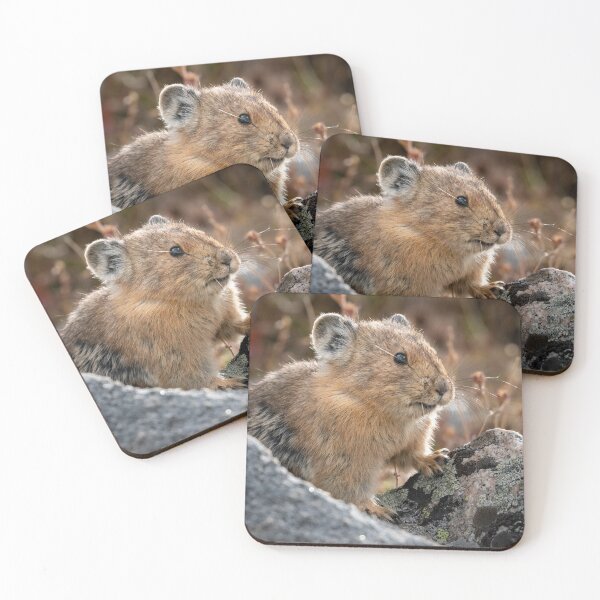 Item preview, American Pika with matching fall colors designed and sold by Eivor Kuchta.