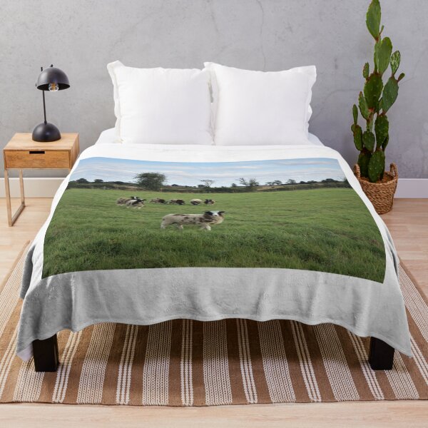 Item preview, Jacob's Sheep designed and sold by Roxyphotography.