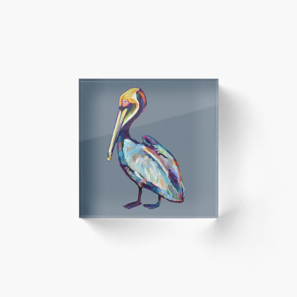Colorful Pelican by Robert Phelps Acrylic Block