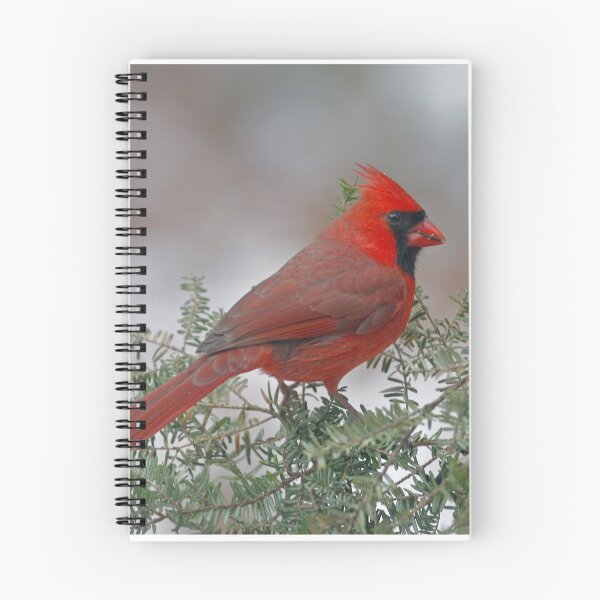 Item preview, Northern Cardinal designed and sold by Enola Gay Wagner.