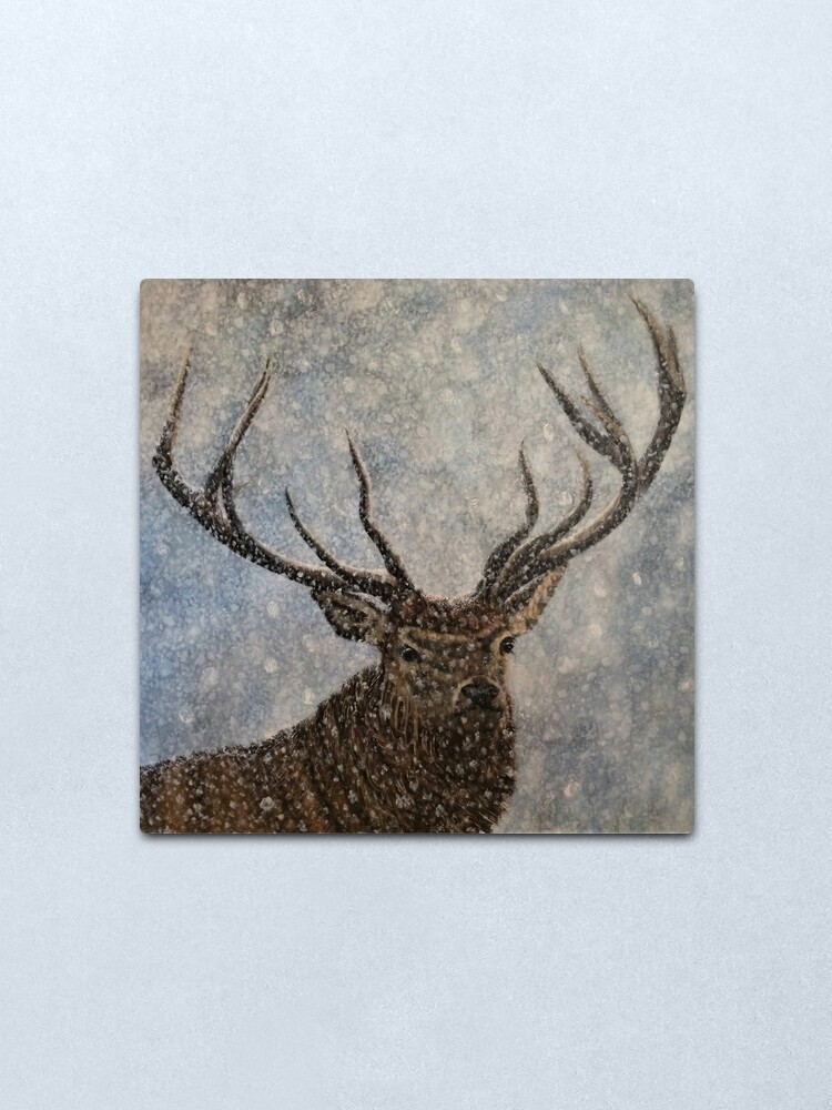 Alternate view of Not Afraid of the Snow - Stag in Snow - Wall Art Metal Print