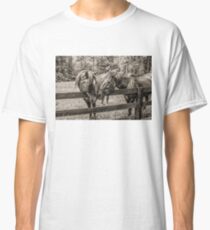 Equine Adoration Classic T-Shirt
