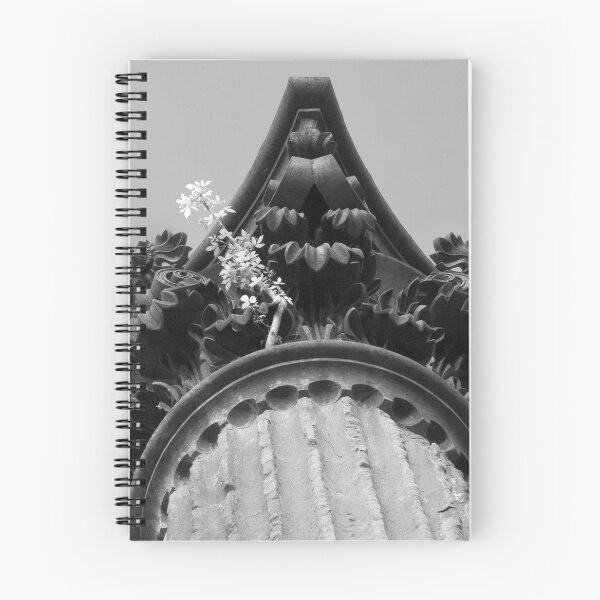 Item preview, Capital designed and sold by MStyborski.