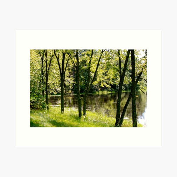 The Apple River Art Print