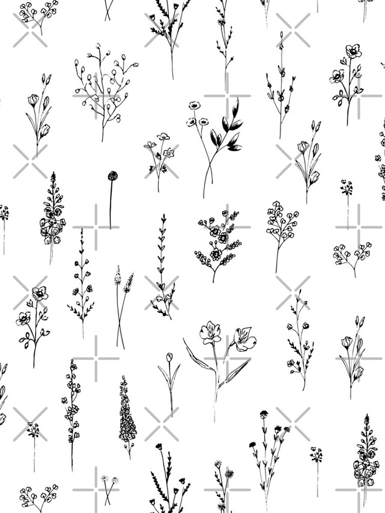 Wildflowers by anisg