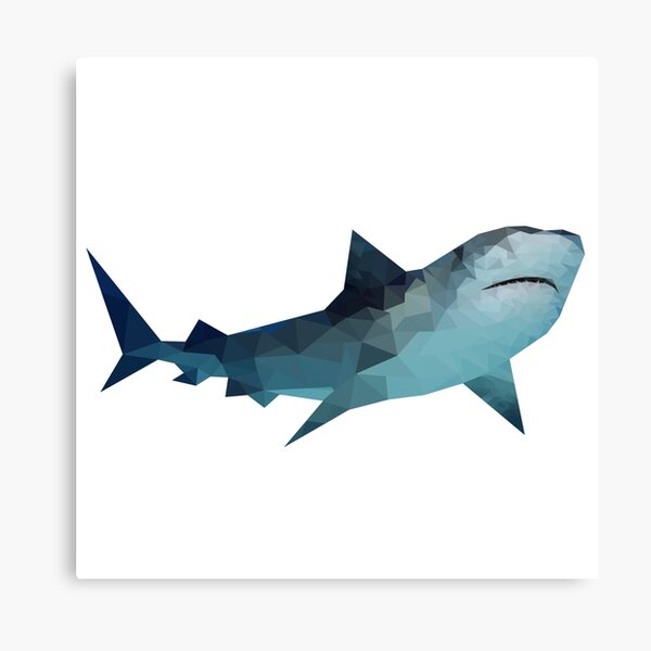 Shark Canvas Print
