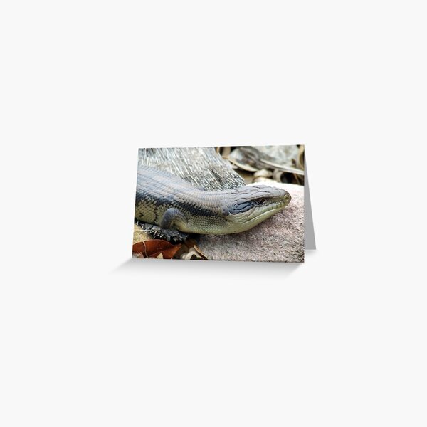 Item preview, Bluetongue designed and sold by Paul Todd.