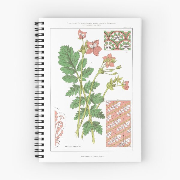Item preview, Erodium Manescavi, botanical flower designed and sold by simpson92.