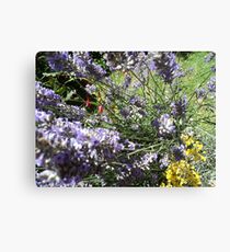 Laven-Durr Canvas Print