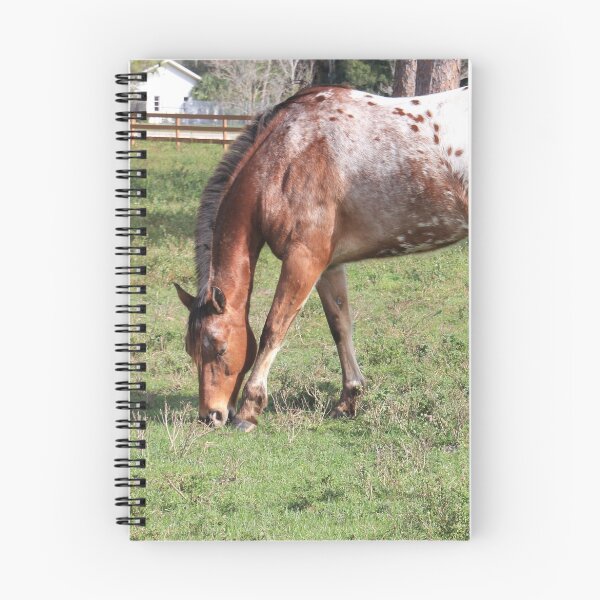 Item preview, Appaloosa Horse designed and sold by Rosalie Scanlon.