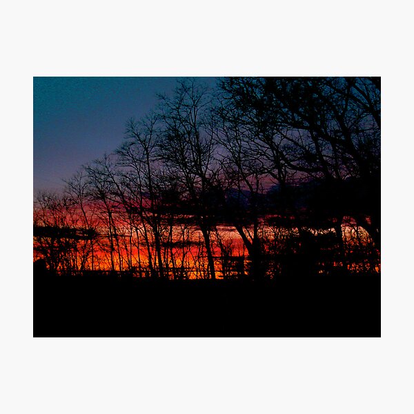 Sunset Through the Trees Photographic Print