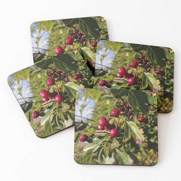 Item preview, Berries Close Up designed and sold by Hazel Meades.