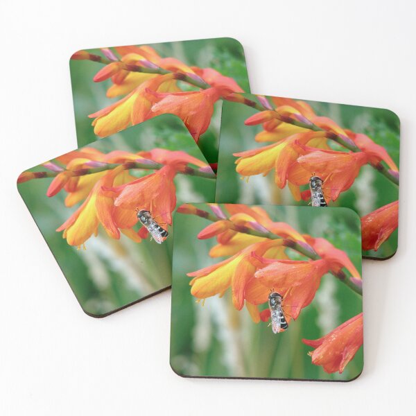Item preview, Crocosmia - Montbretia 2 designed and sold by Sharon Perrett.