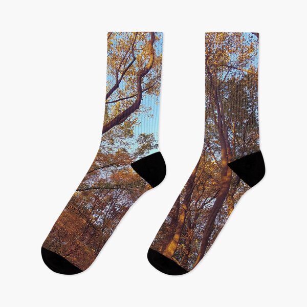 Item preview, golden hour I designed and sold by varickridge.