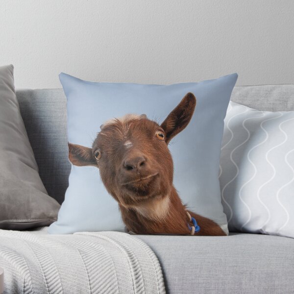Goofy June Throw Pillow