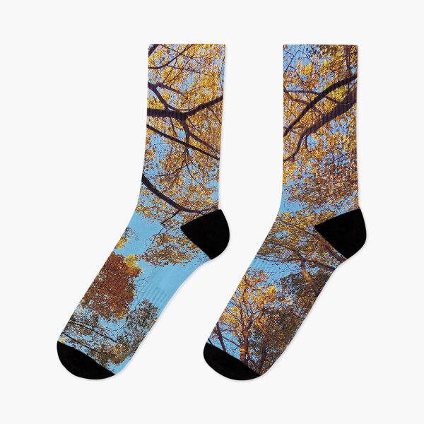 Item preview, golden hour III designed and sold by varickridge.