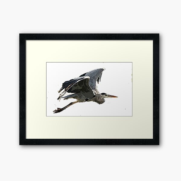 Heron In Flight Framed Art Print