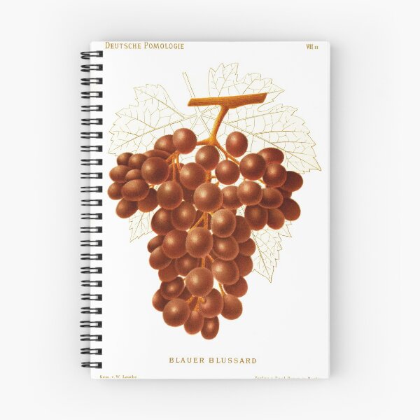 Item preview, Deutsche Pomologie Grapes lithograph designed and sold by simpson92.
