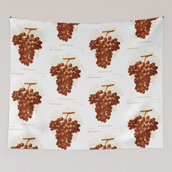 Item preview, Deutsche Pomologie Grapes lithograph designed and sold by simpson92.
