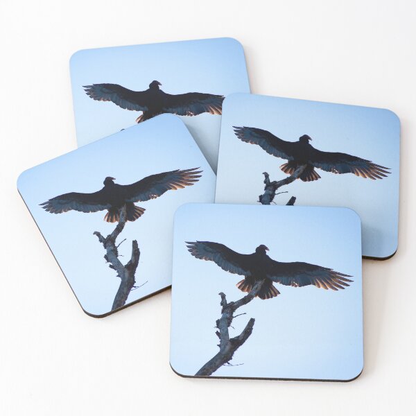 Item preview, Wingspan designed and sold by KrisHundt.