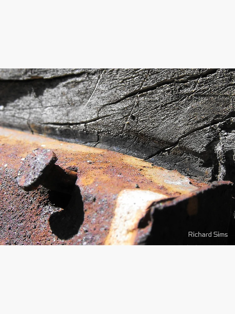 Imagen 3 de 3, Póster con la obra Neiled & Rusted , diseñada y vendida por Richard Sims.