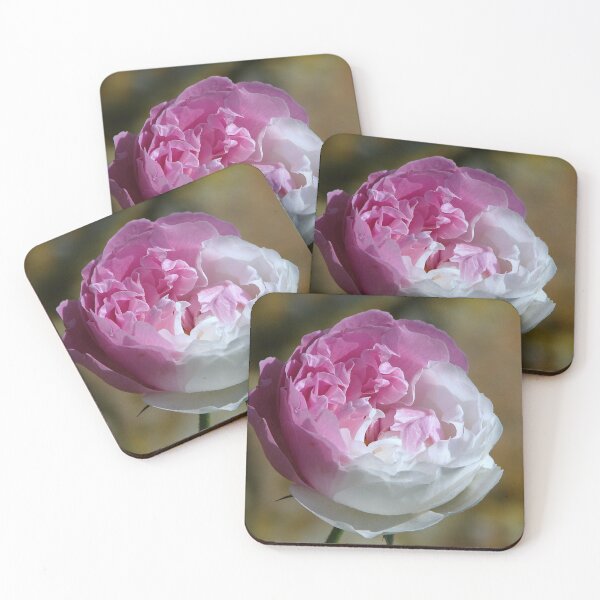 Item preview, Divided designed and sold by Sharon Perrett.
