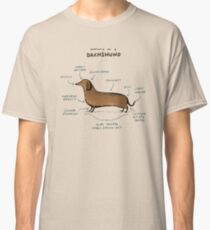 Anatomy of a Dachshund Classic T-Shirt