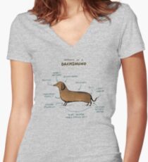 Anatomy of a Dachshund Women's Fitted V-Neck T-Shirt