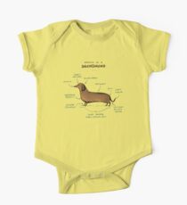 Anatomy of a Dachshund One Piece - Short Sleeve