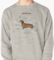 Anatomy of a Dachshund Pullover