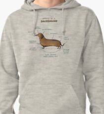 Anatomy of a Dachshund Pullover Hoodie